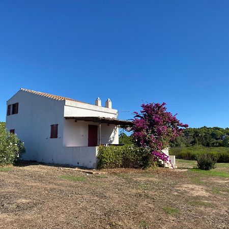 Casa Bianchi - Villa Immersa Nel Verde كارلوفورتي المظهر الخارجي الصورة