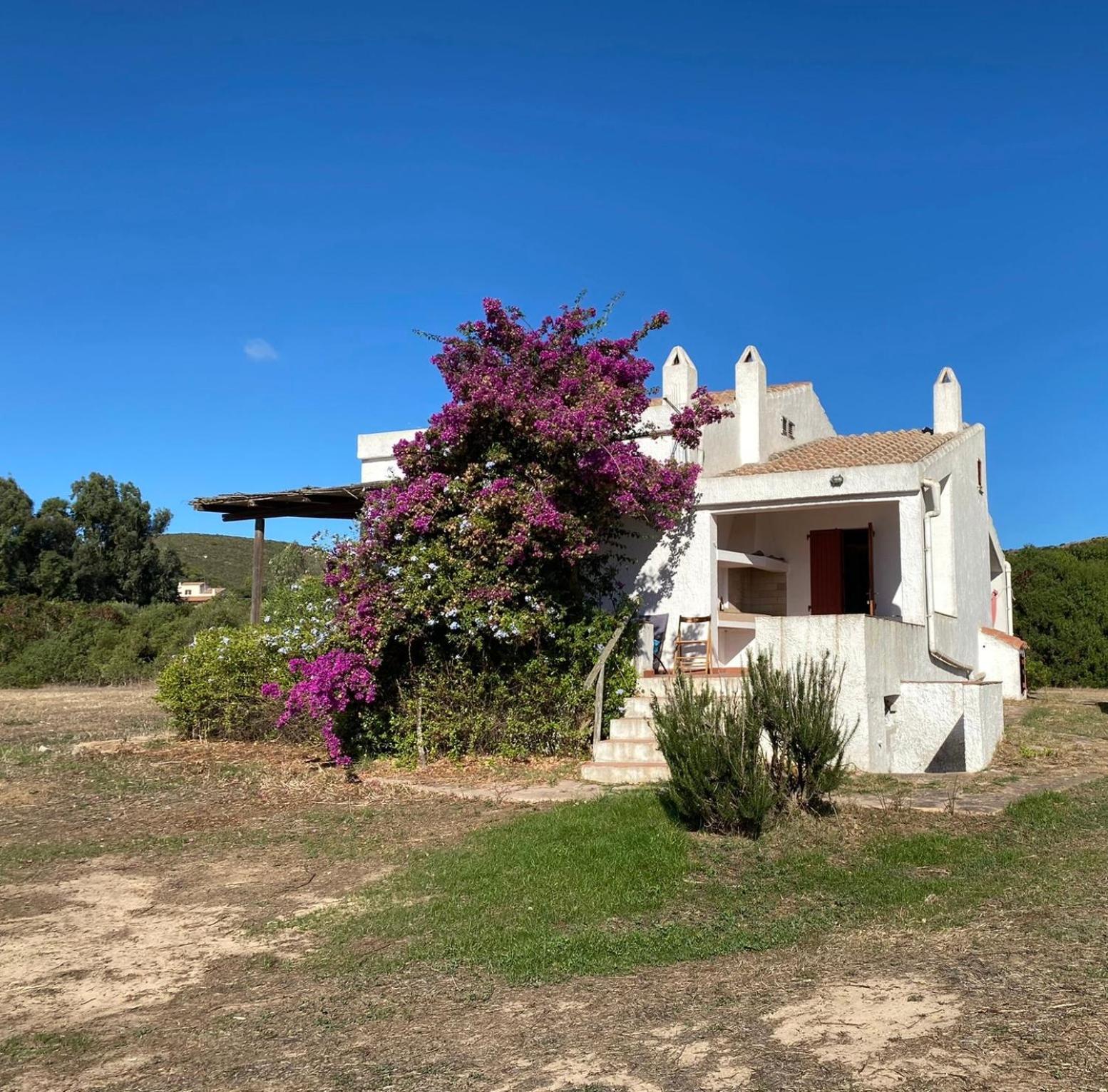 Casa Bianchi - Villa Immersa Nel Verde كارلوفورتي المظهر الخارجي الصورة