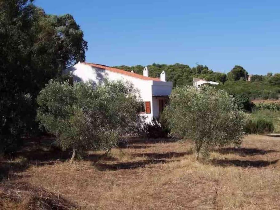 Casa Bianchi - Villa Immersa Nel Verde كارلوفورتي المظهر الخارجي الصورة